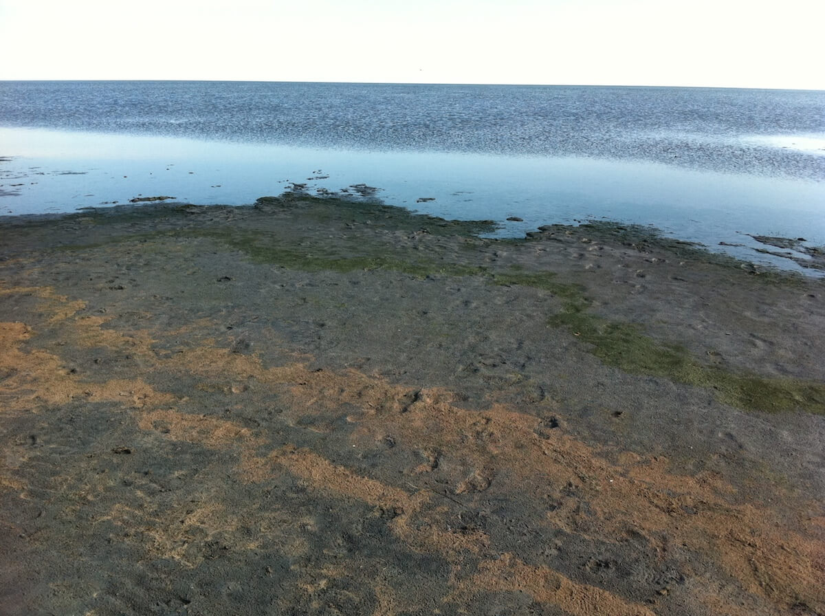 Озеро Кулундинское
